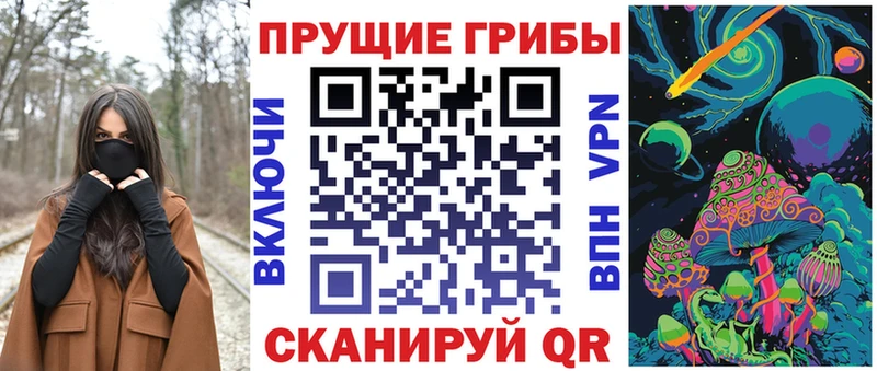Галлюциногенные грибы Psilocybine cubensis  Нолинск 
